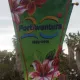 20 aniversario de PortAventura