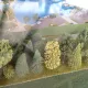Maqueta de Costa Caribe 2013