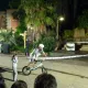 Noche Blanca Flower Power 2013