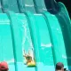 Rapid Race