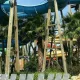Barracudas