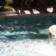 El Río Loco