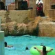 El Triángulo de las Bermudas