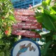 Temática de Costa Caribe