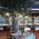 Ristorante Cavallino