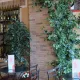Ristorante Cavallino