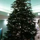 Navidad