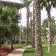 Temática Hotel Caribe
