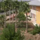 Temática Hotel Caribe