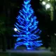 Navidad