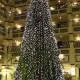 Navidad en el Hotel Gold River