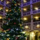 Navidad en el Hotel Gold River