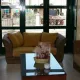 El Bar