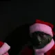 Navidad