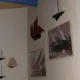 Port Regata