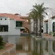 Temática