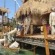 Angkor: Aventura en el reino perdido