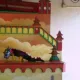 La Perla del Dragón