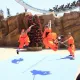 Los Shaolin de Shambhala