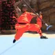 Los Shaolin de Shambhala