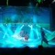 PortAventura Live!
