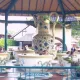 Tea Cups