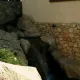 Temática de China