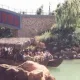 Waitan Port