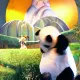 Xian-Mei y el Pequeño Panda