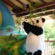 Xian-Mei y el Pequeño Panda