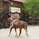 Animación de Calle del Far West