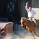 Bang Bang West