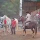 Bang Bang West