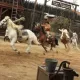 Bang Bang West