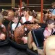 Buffalo Rodeo