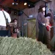 Country Music
