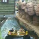 Grand Canyon Rapids