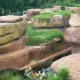 Grand Canyon Rapids
