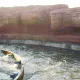 Grand Canyon Rapids