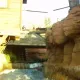 Grand Canyon Rapids
