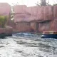 Grand Canyon Rapids