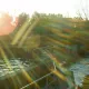 Grand Canyon Rapids