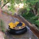 Grand Canyon Rapids