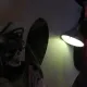Horror in Texas