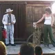 Maverick el Tahúr
