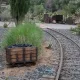 Penitece Station