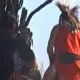 Pluma de Águila