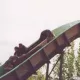 Silver River Flume