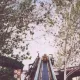 Silver River Flume