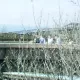 Silver River Flume